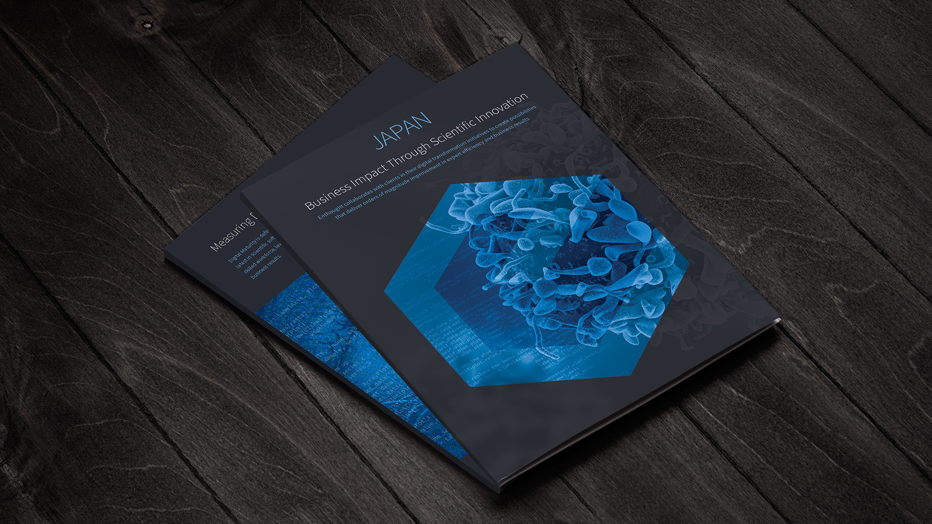 Enthought Corporate Literature